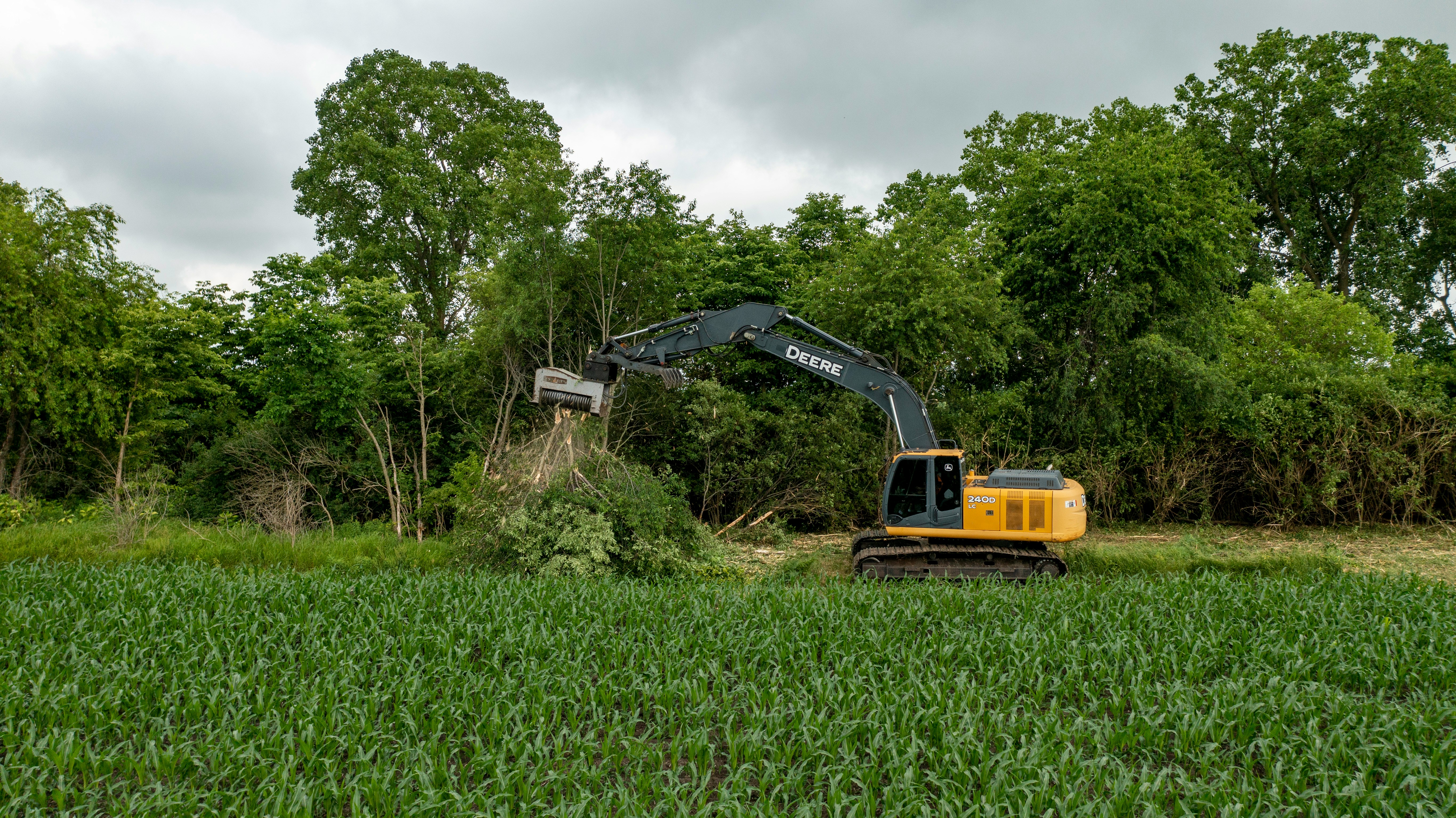 picture of Tree Removal Services near Elyria,Ohio
